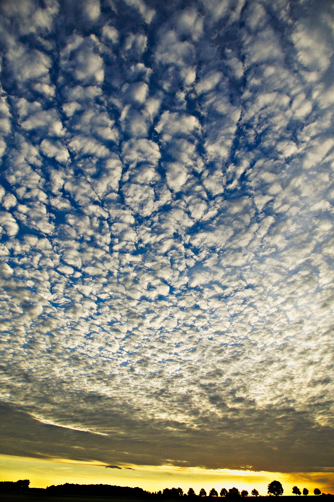 20DU4006 (36 von 36)